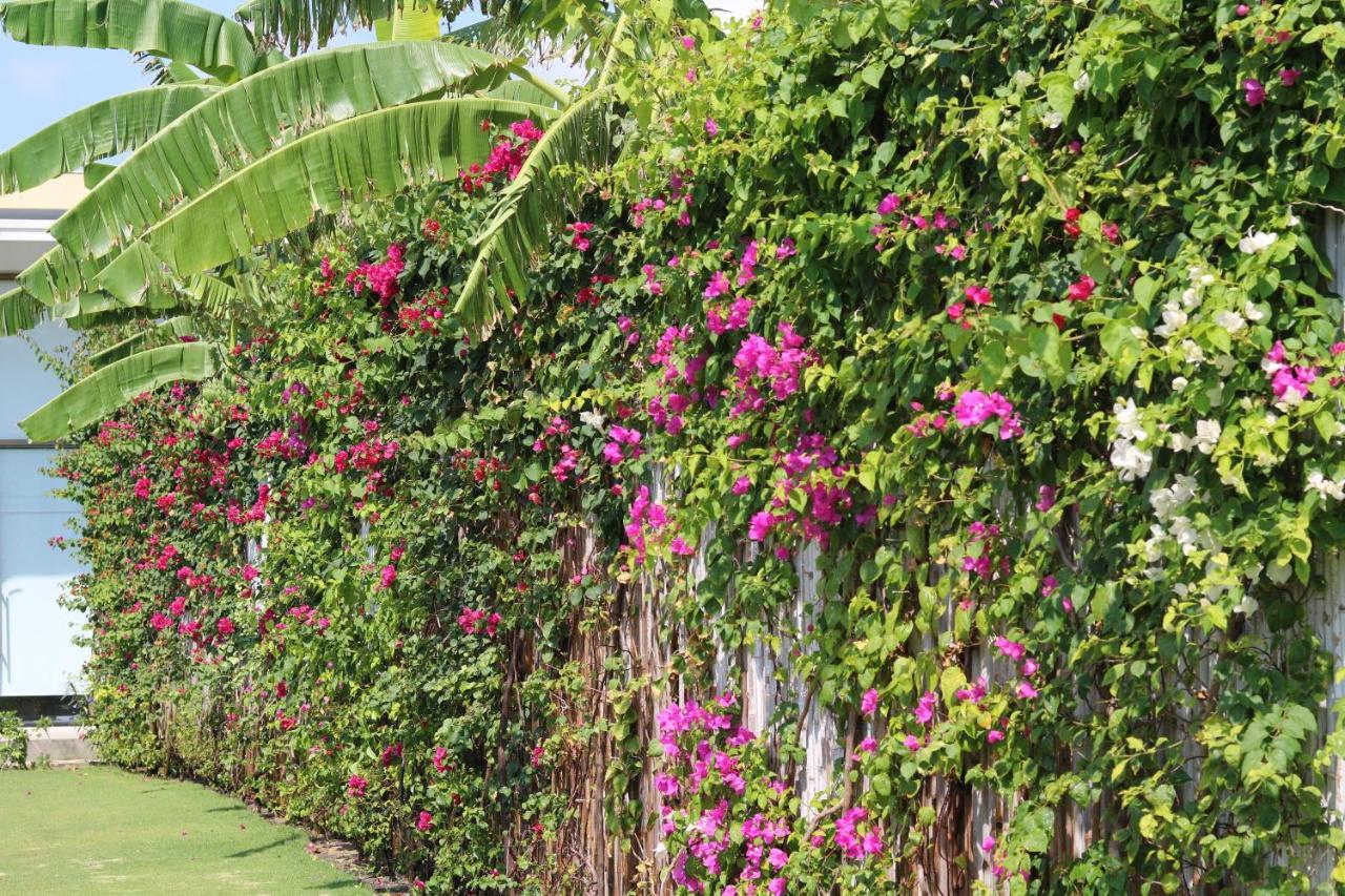 Alma Cam Ranh