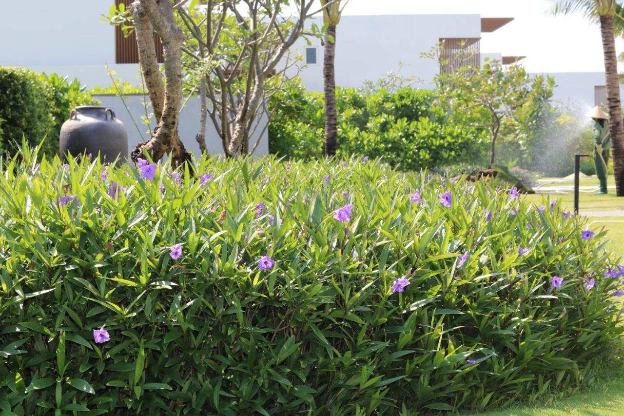 Resort Alma
