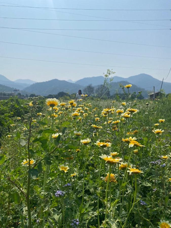 Nha Nghi Tam Cuong * Dien Bien Phu