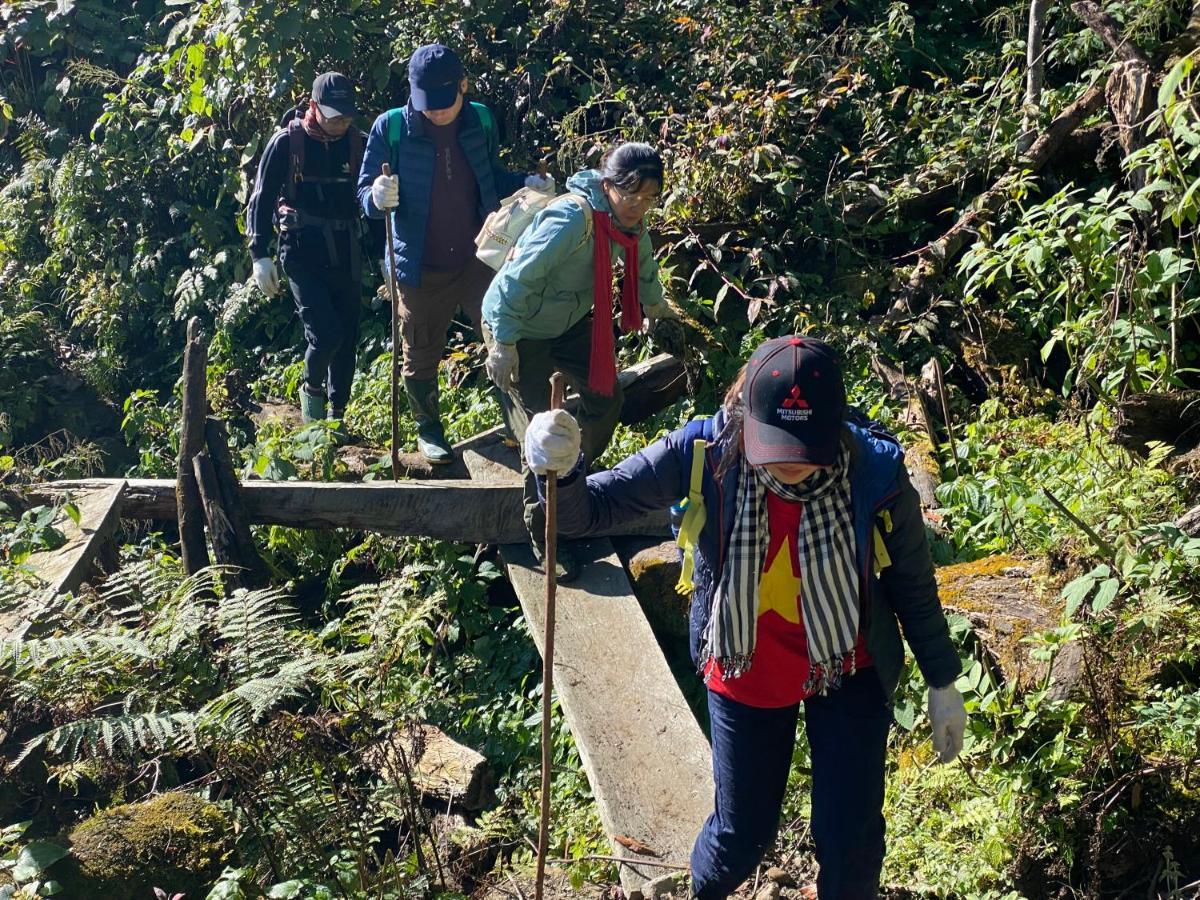 Lodge & Trekking *