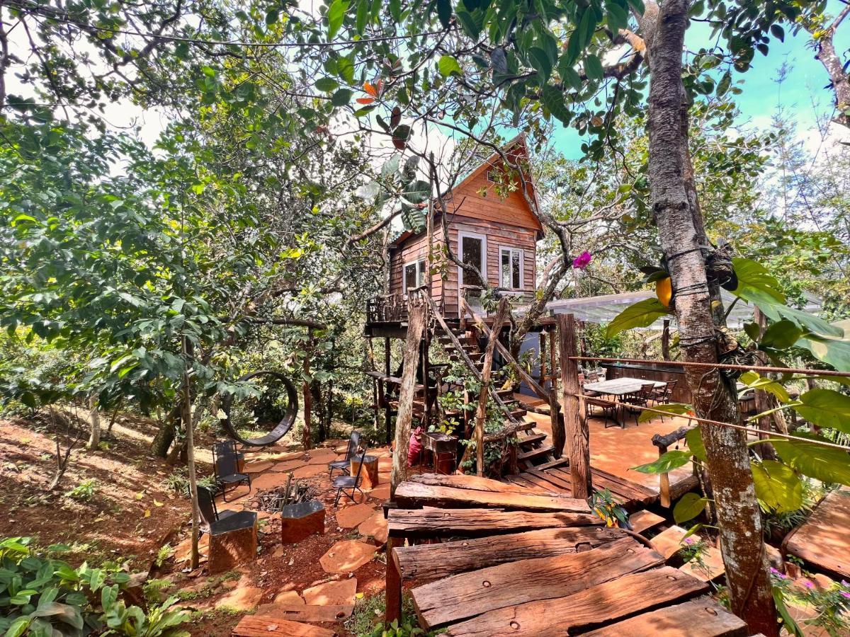 lều Megarden Daknong