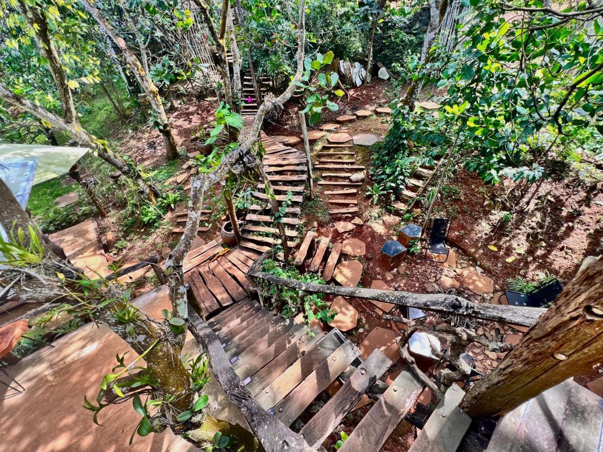 lều Megarden Daknong Gia Nghia