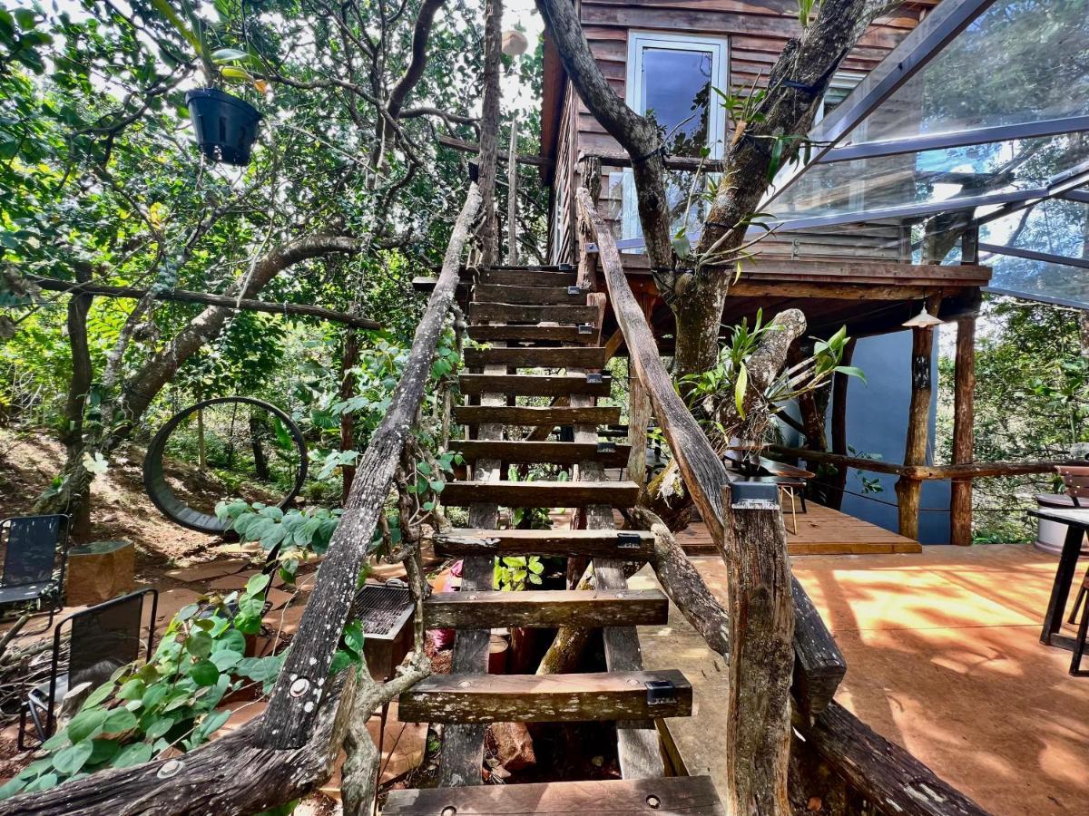 Megarden Daknong lều