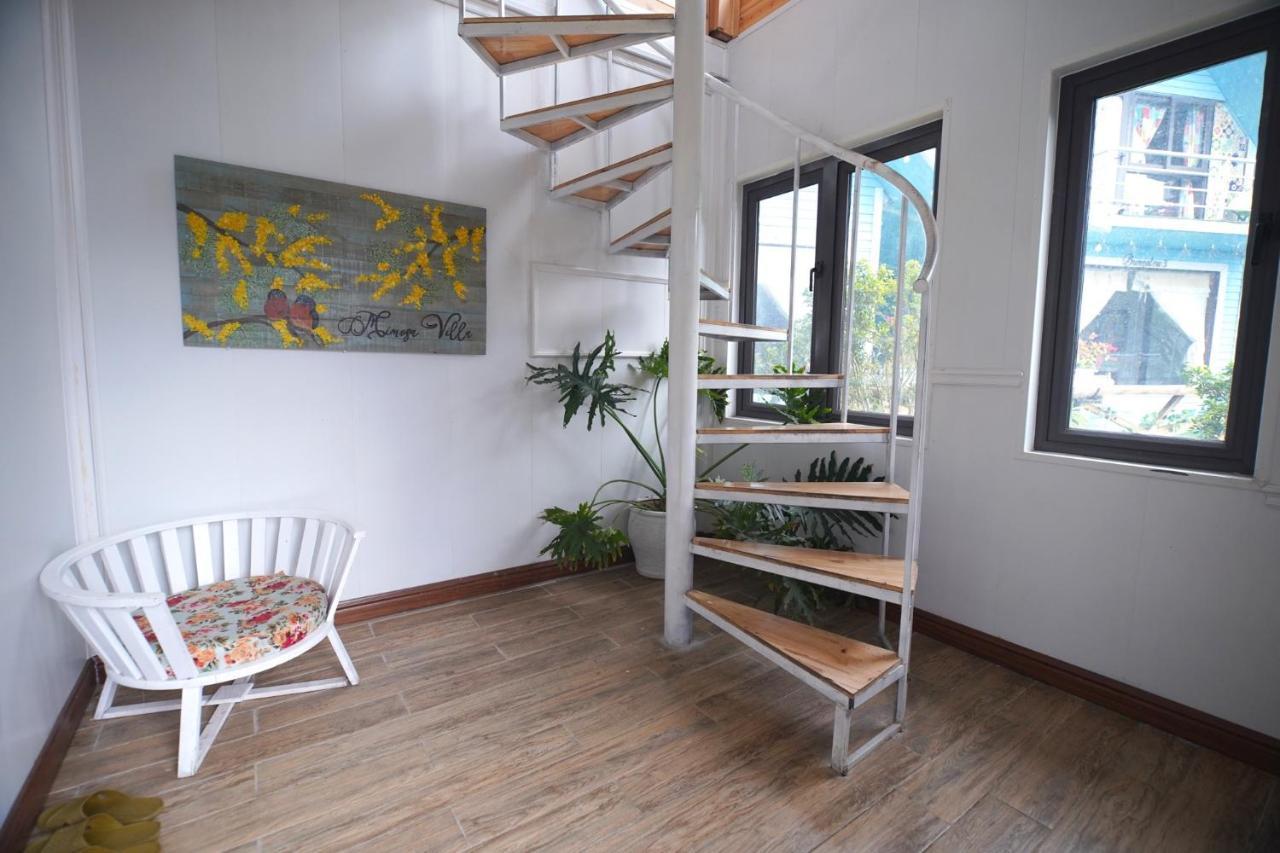 Homestay Mimosa *