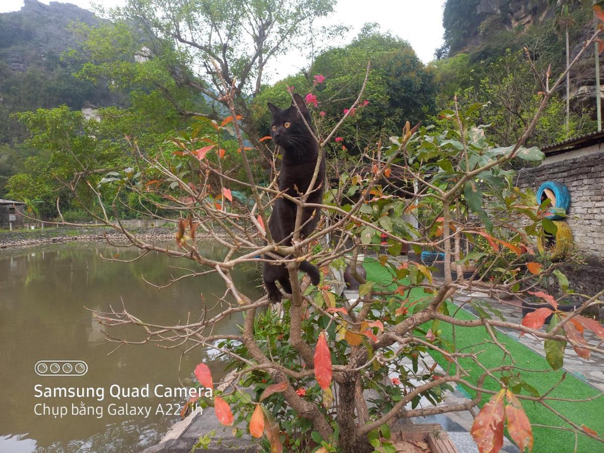 Trang An Pristine View Apartment