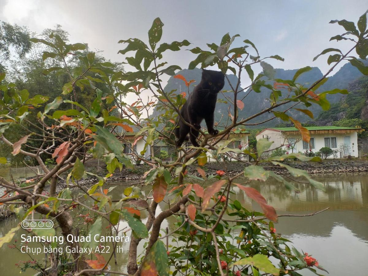 Trang An Pristine View * Ninh Binh