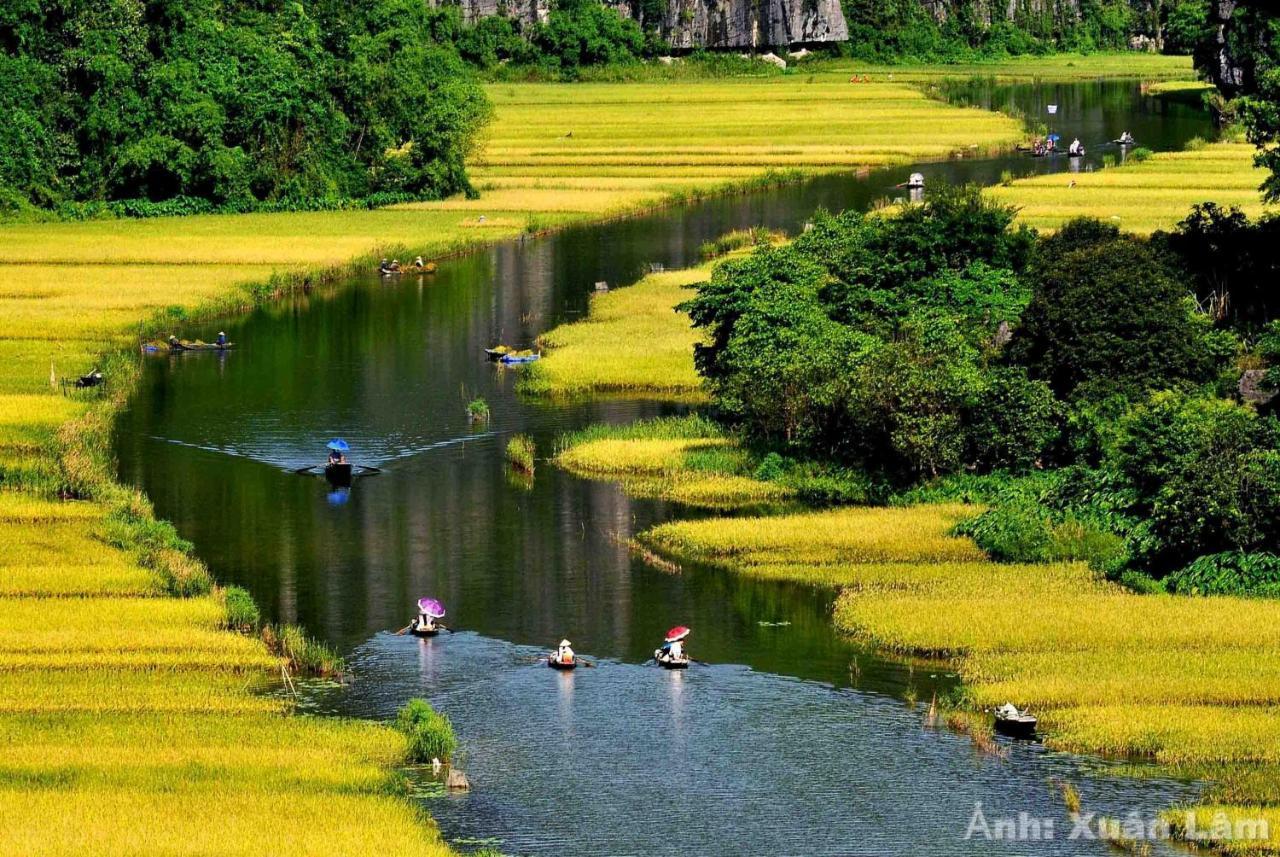 Tam Coc Lily Ninh Binh