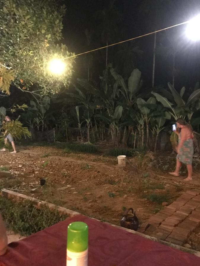 Bee Lucky Homestay