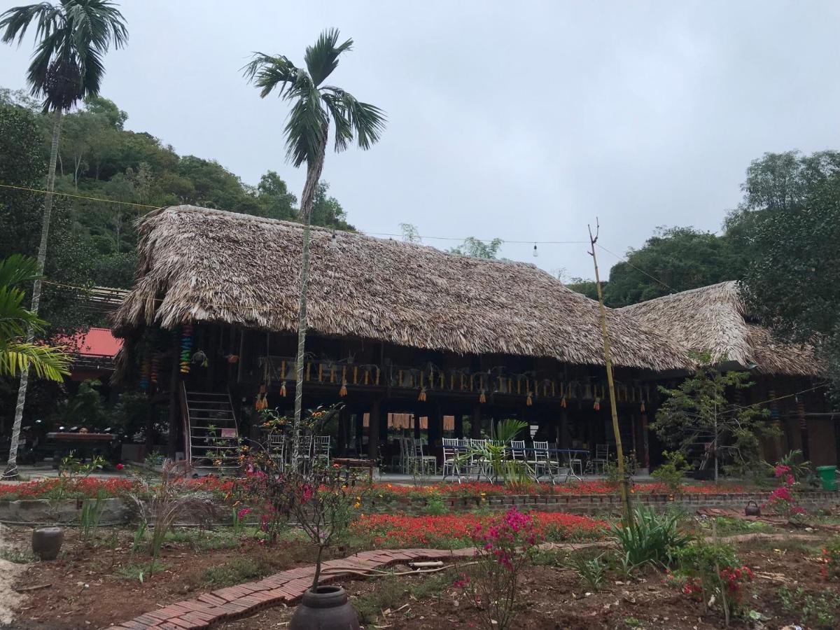 Bee Lucky Homestay Hotel Cat Ba Island