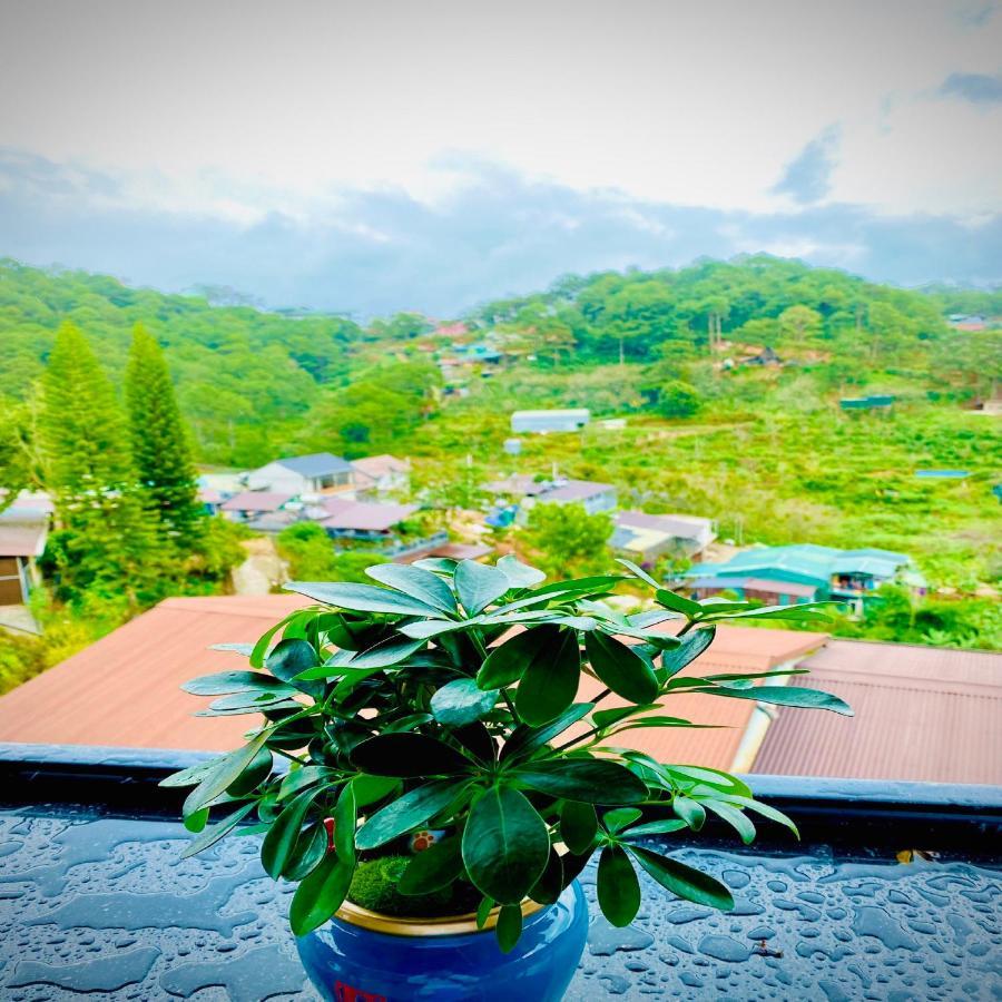Lodge Pine Forest House Da Lat