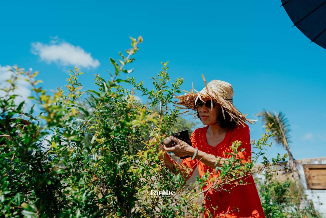 Farobe - Farms & Homestay