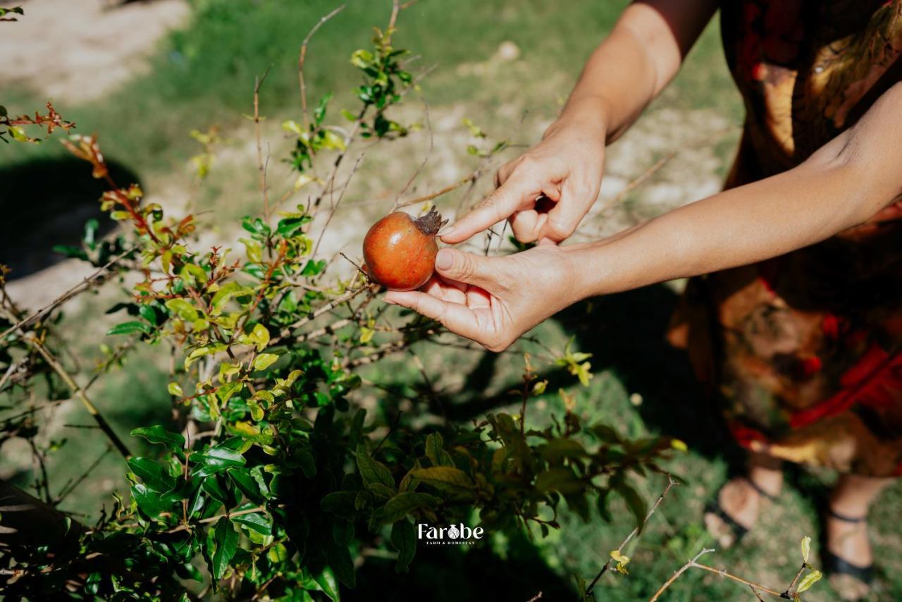 Farobe - Farms & Homestay * Ninh Hai District