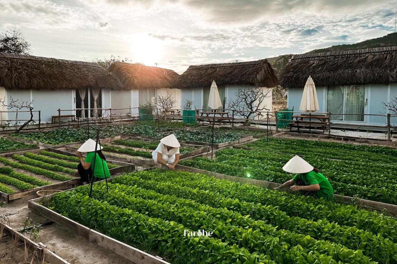 Farm stay Farobe - Farms & Homestay Ninh Hai District