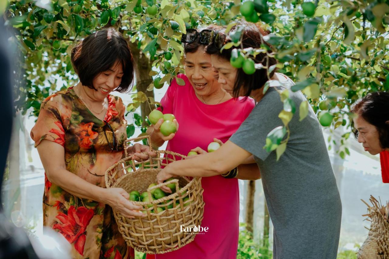 Farm stay Farobe - Farms & Homestay
