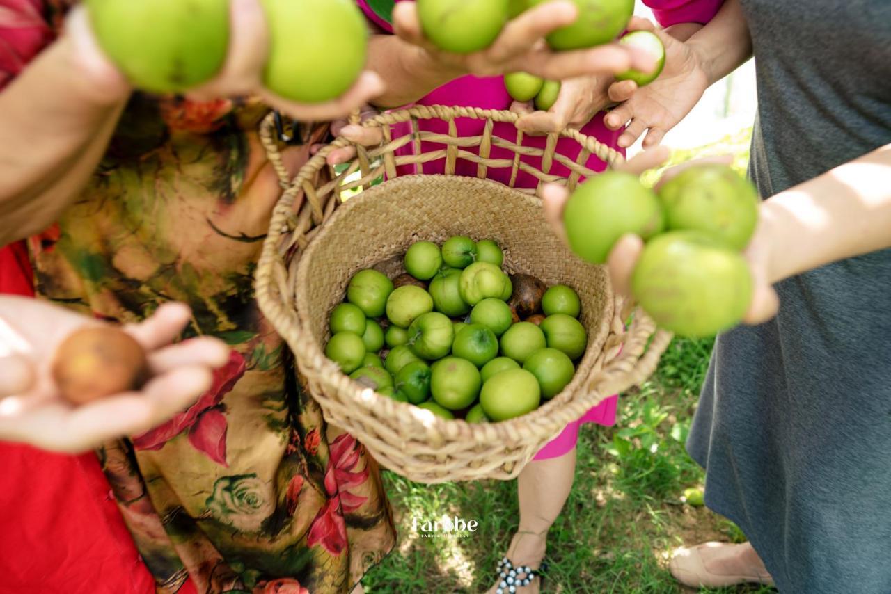 Farobe - Farms & Homestay Farm stay *