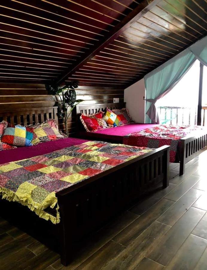 Roses - Venuestay