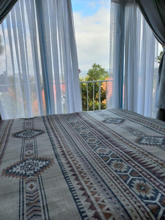 Paradiso Măng đen Ở trọ Kon Von Kla