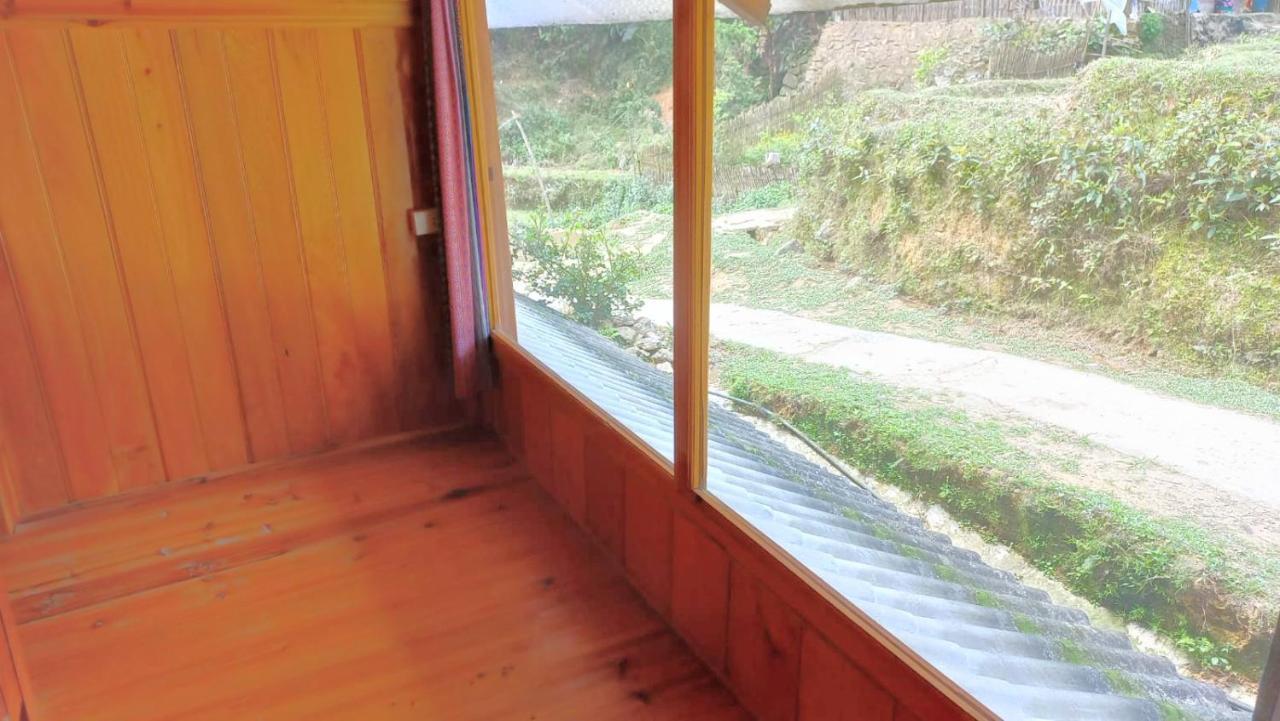 Madame View