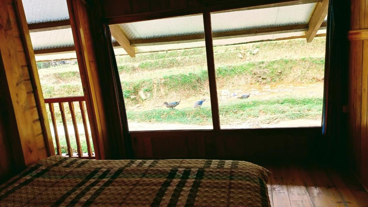 Madame View *