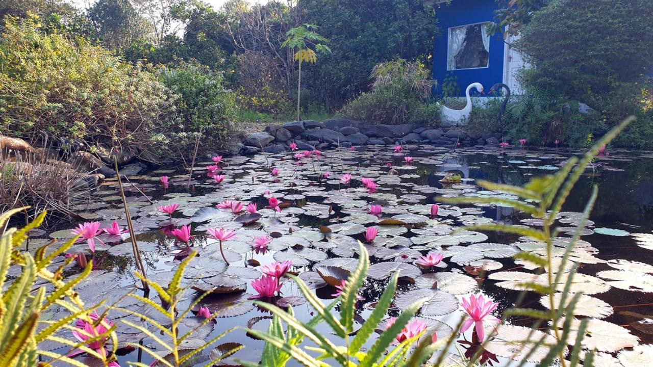 Fefe Garden Holiday home