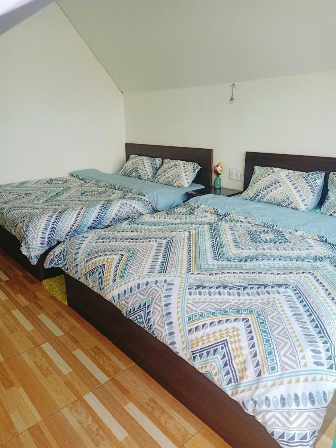 Paradiso Măng đen * Kon Von Kla