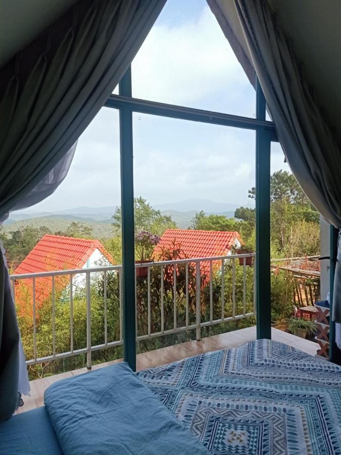 Paradiso Măng đen *
