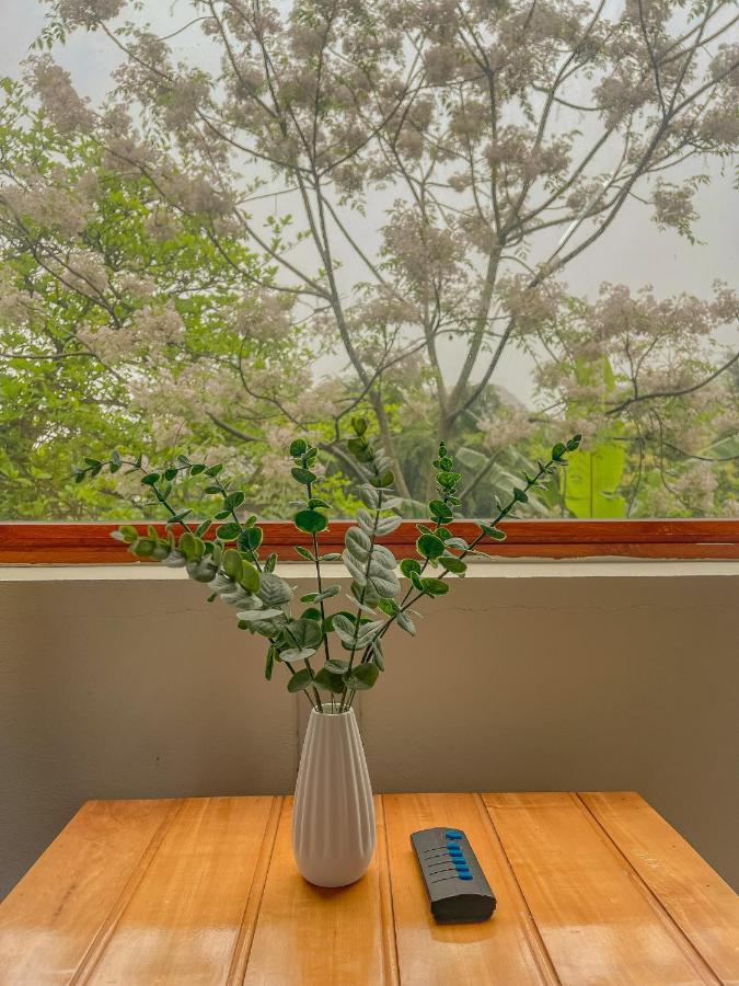 Cosiana Bed & Breakfast