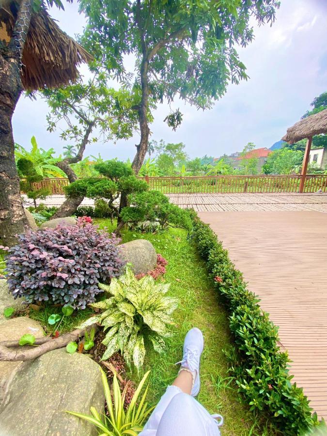 Lemon Tree Tam Coc *