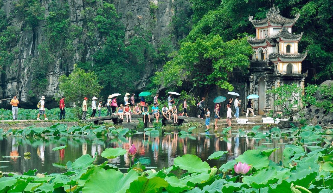 Tam Coc Lily * Ninh Binh