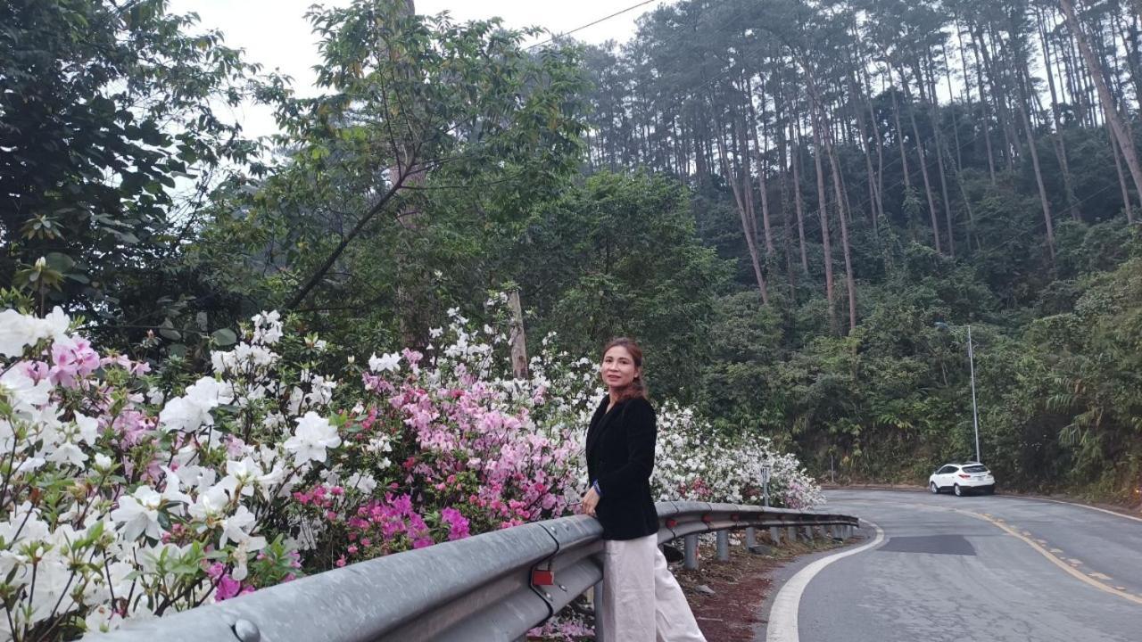 Hotel Khach San Anh Dao *