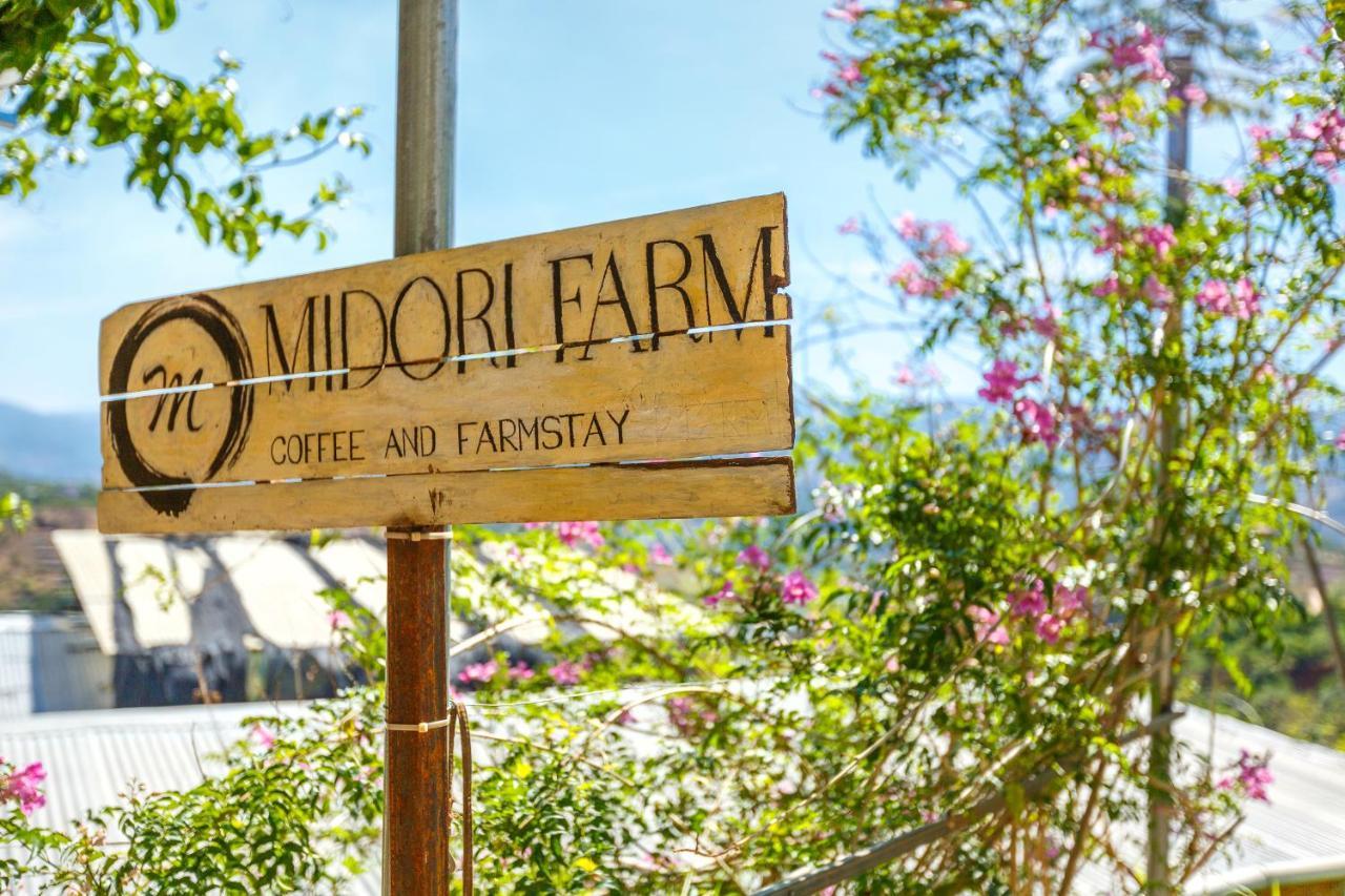 Midori Coffee Farm