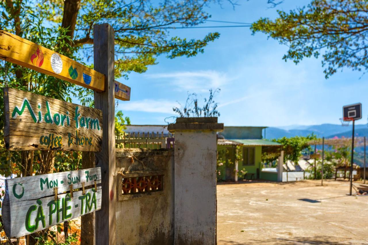 Midori Coffee Farm