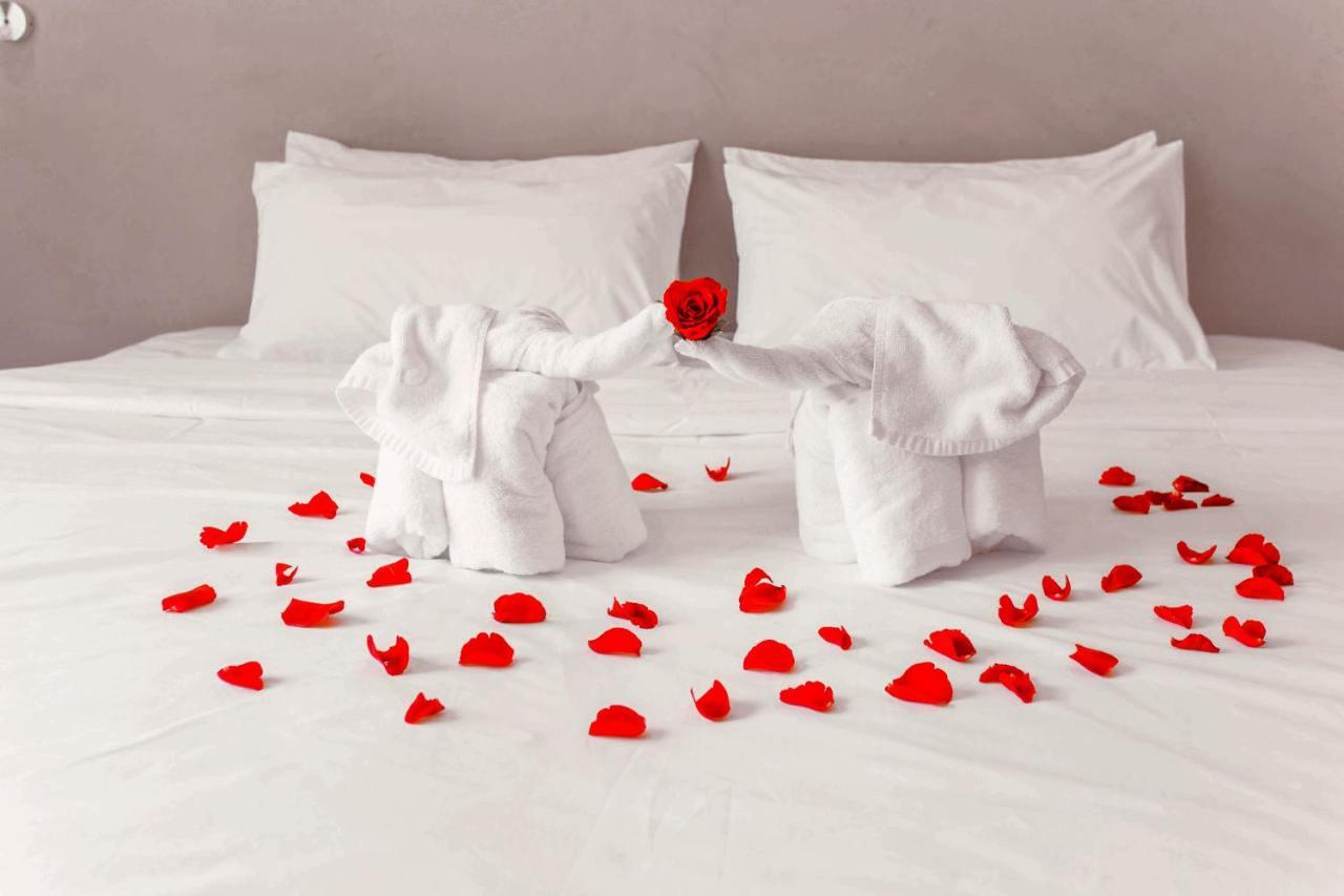 Hotel House 3*