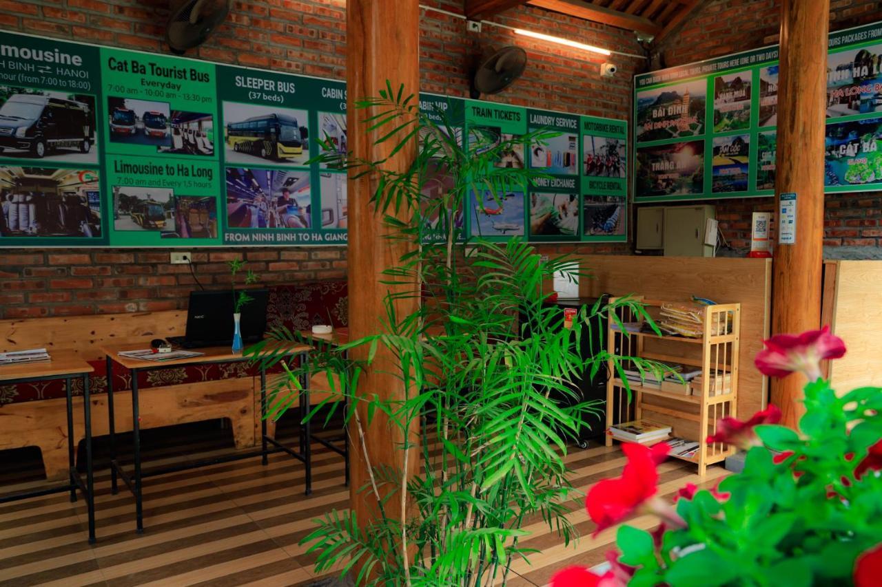 Gecko Backpackers *