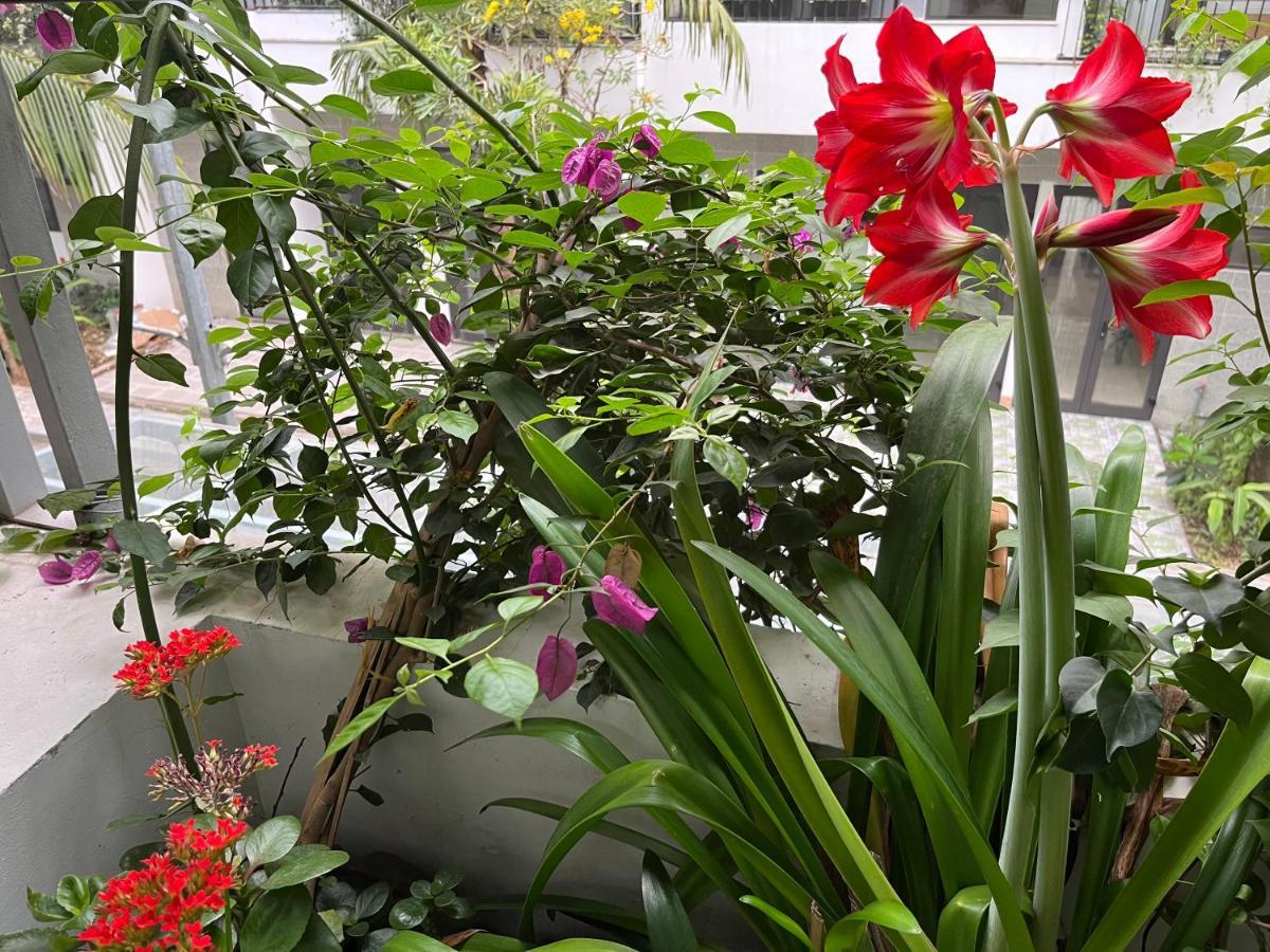 Friendly Sh Dai Lai 4 Phong Ngu Villa *