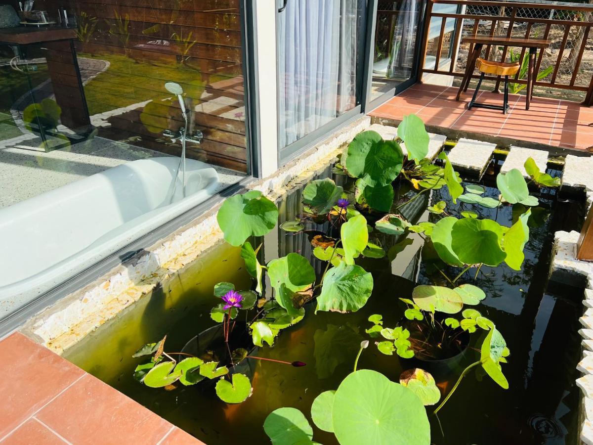 Lotus Lodge