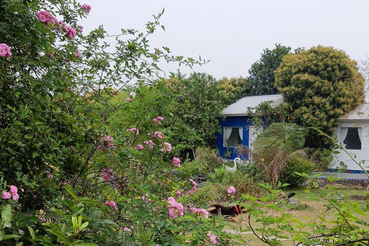 Fefe Garden Holiday home