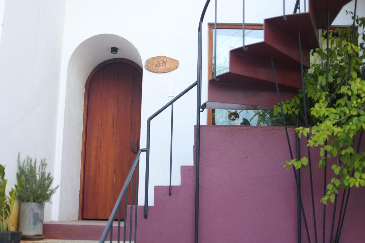 Homestay Cherry Da Lat