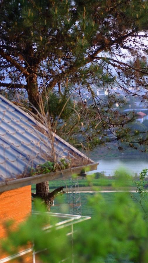 Homestay Hillside House *