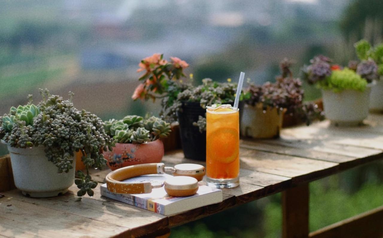 Homestay Hillside House *