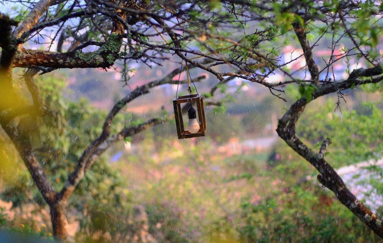 Homestay Hillside House