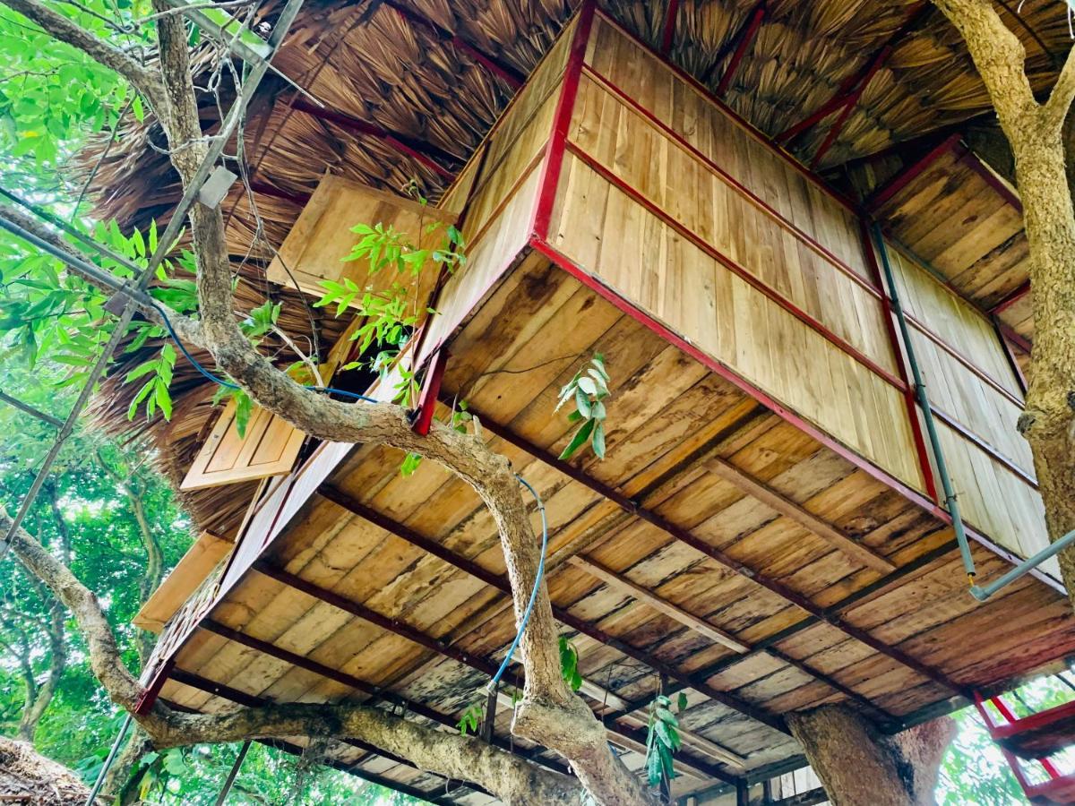 Muong Retreat- Nghi Duong Xanh Trong Bao Tang Van Hoa Nghe Thuat,hoa Binh * Hoa Binh