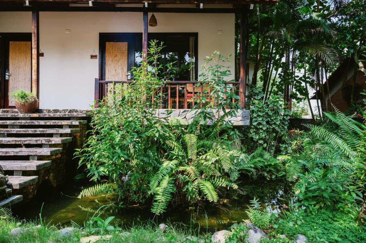 An Nhien Retreat With Yoga Daily & Access