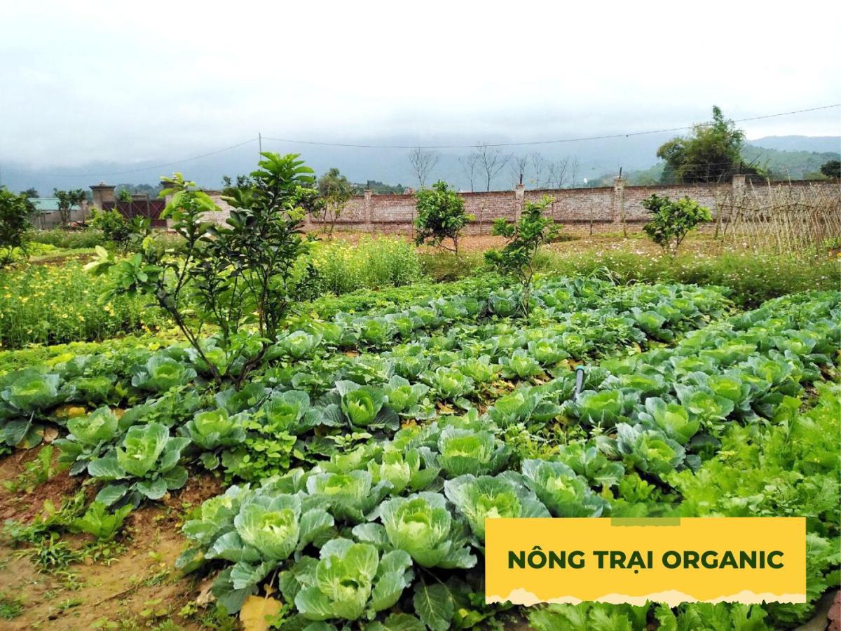 Farm stay Wonder Farm Ba Vi - Edu & Retreat *
