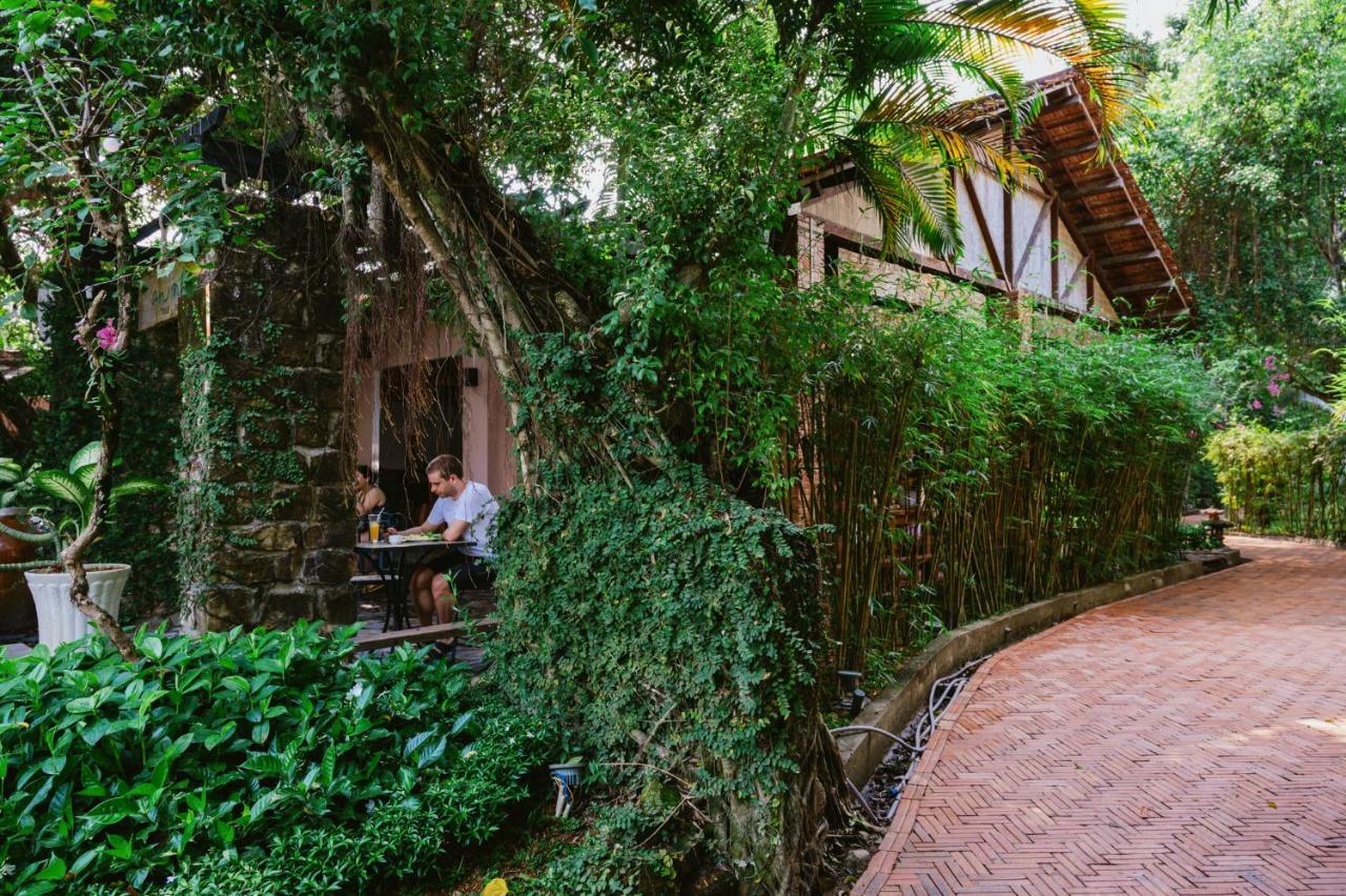 An Nhien Retreat With Yoga Daily & Access 3*