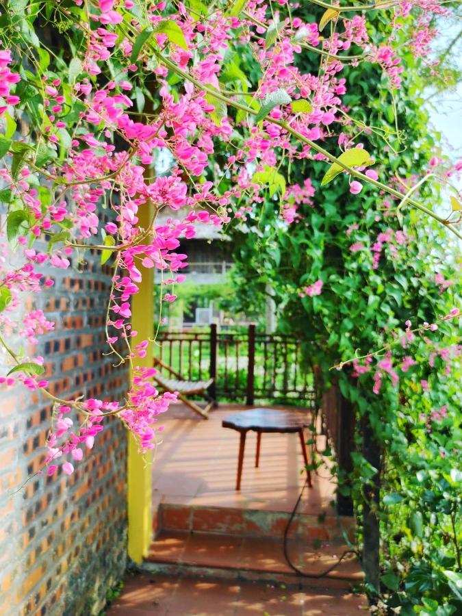 Farm stay Wonder Farm Ba Vi - Edu & Retreat Hanoi