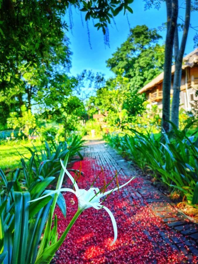 Wonder Farm Ba Vi - Edu & Retreat Farm stay *