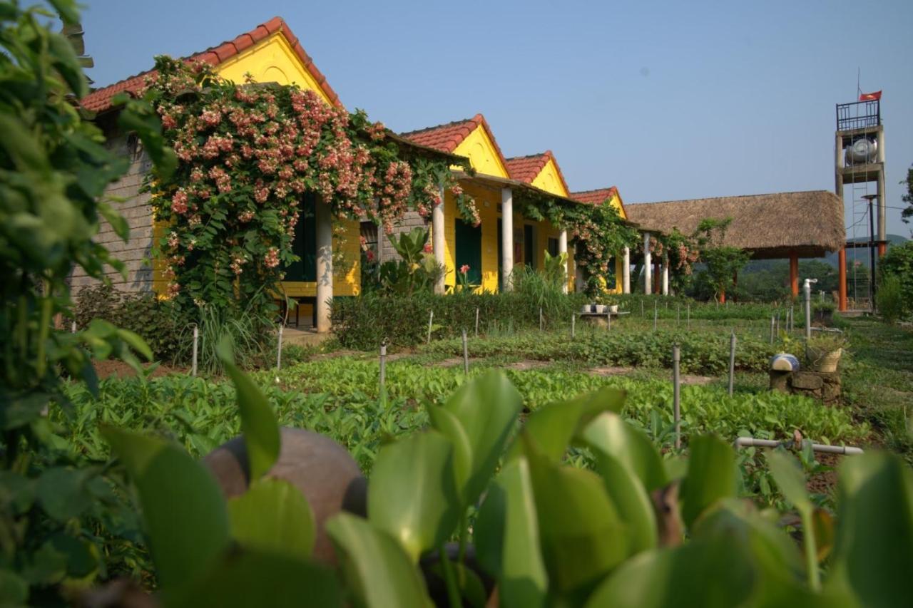 Greenfield Ecostay * Phong Nha