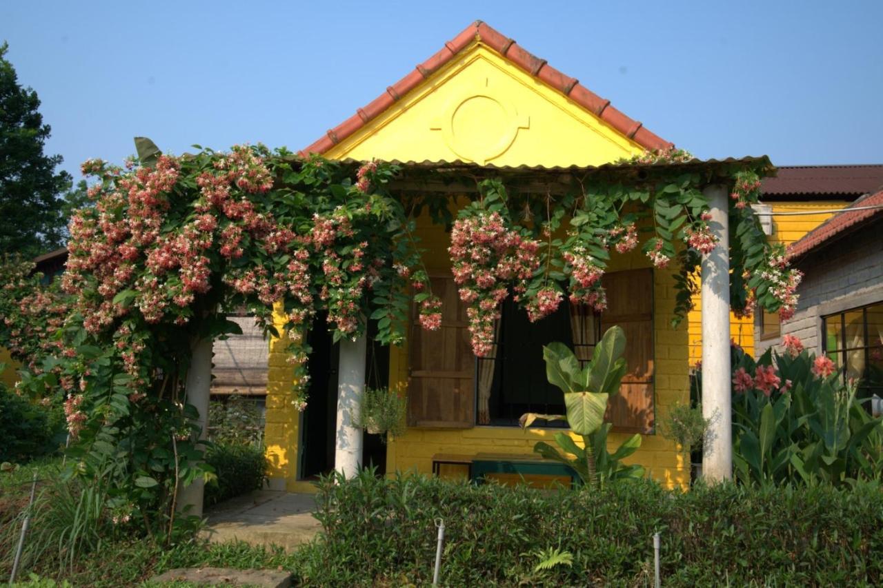 Greenfield Ecostay Homestay Phong Nha