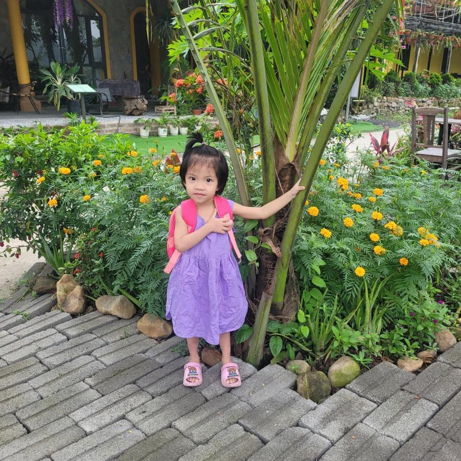 Amazing View Homestay